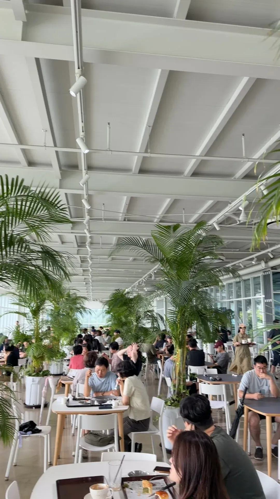 Crowded large bakery cafe packed with visitors demonstrating the need to find seats before ordering