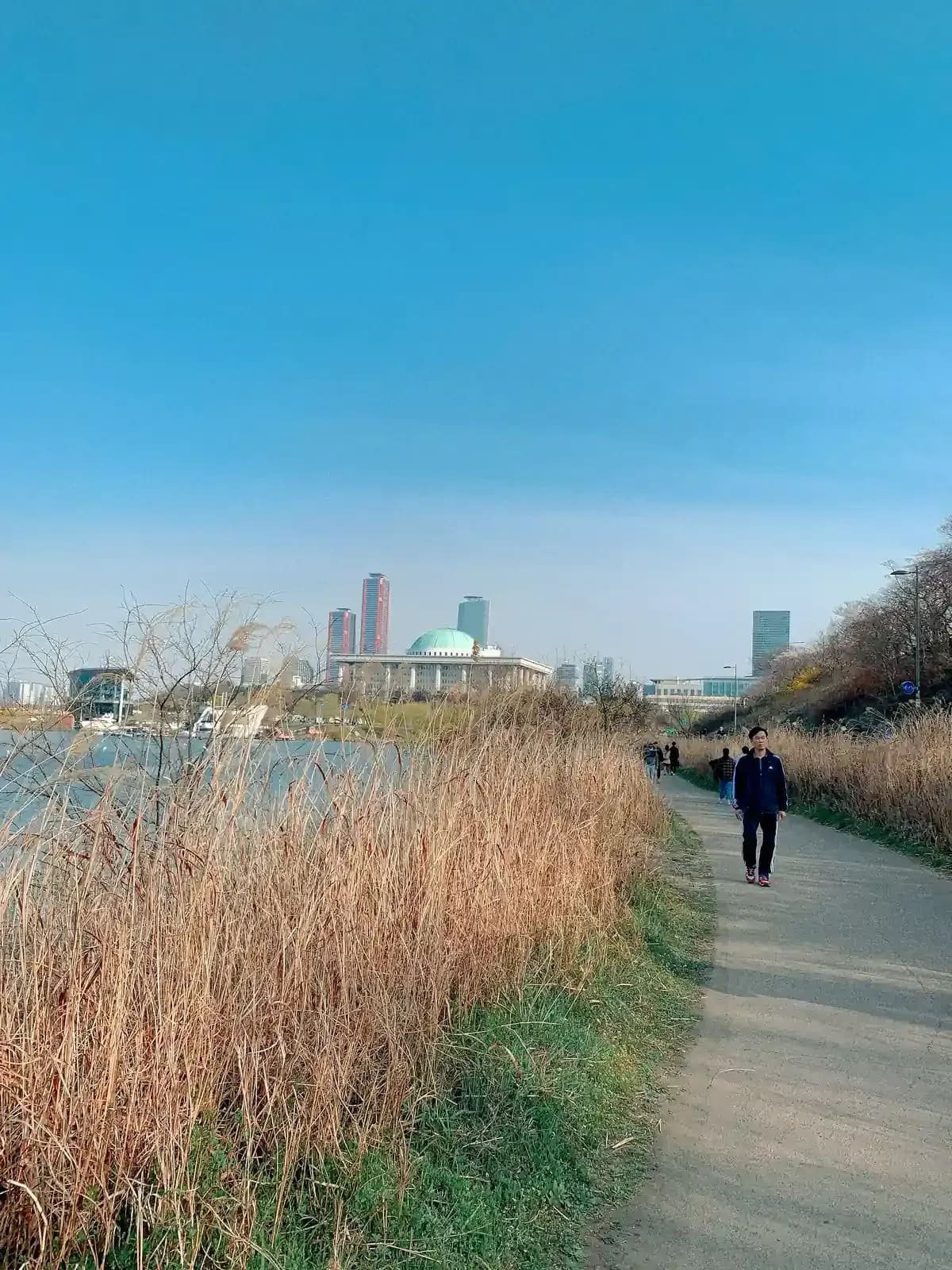 Walking trail along Yeouido Hangang Park overlooking the National Assembly building in Seoul