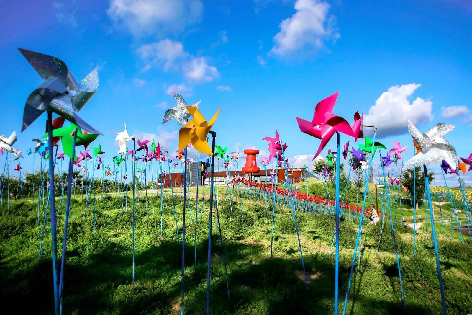 Colorful pinwheels at Imjingak Peace Nuri Park near the Korean DMZ