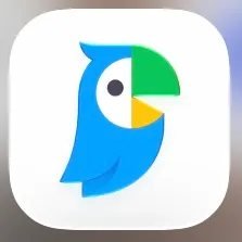 Naver Papago translation app icon
