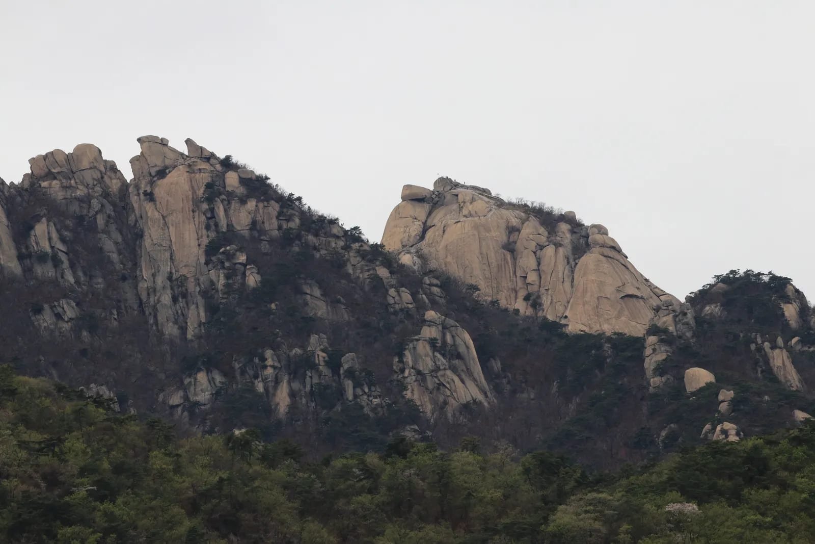 Bukhansan granite peaks above forest in spring