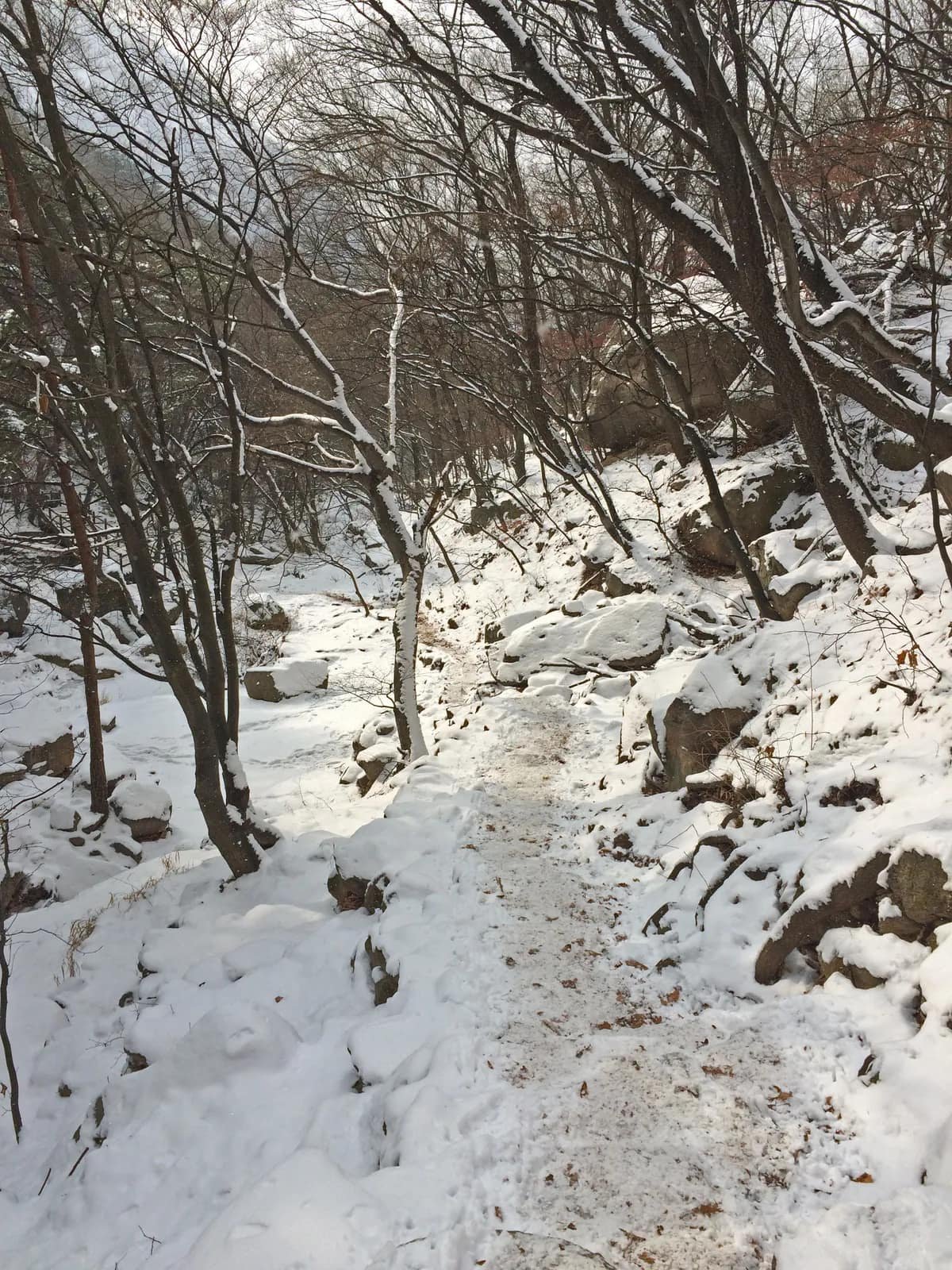 Snow-covered woodland trail in Bukhansan in winter