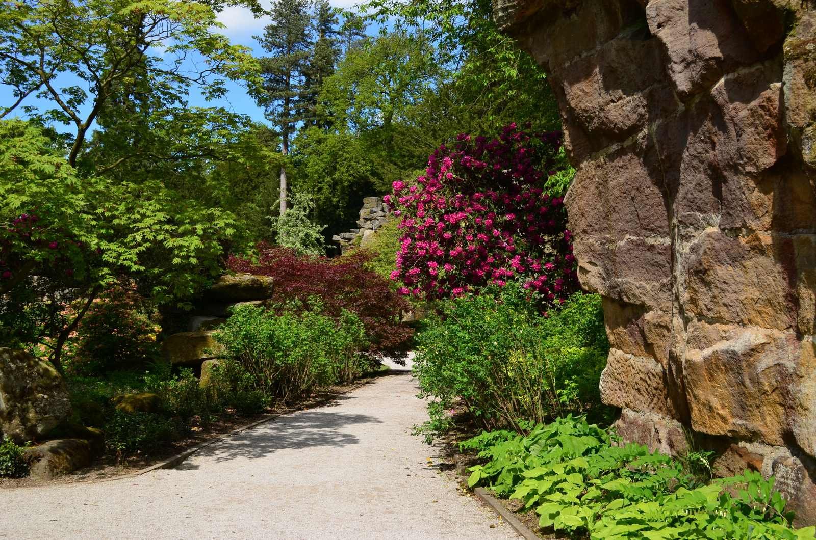 A landscaped garden path lined with colorful flowering plants.