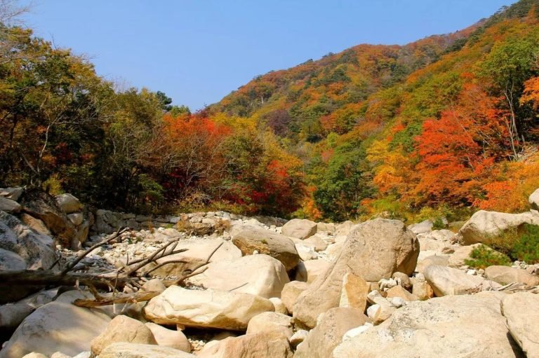Autumn foliage across the mountains of Seoraksan National Park