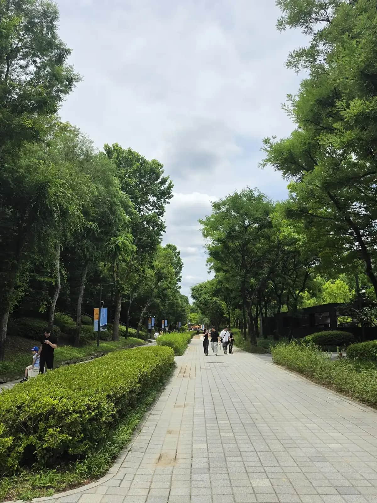 Tree-lined pedestrian path in Seoul Forest, one of the Seoul Street Arts Festival 2026 venues.